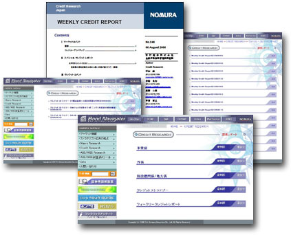 Credit Report Allsat